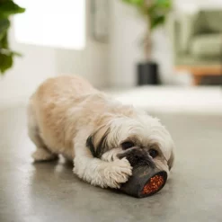 Bones & Chews Bully Stuffed Water Buffalo Horn Dog Treats 9 Bones & Chews Bully Stuffed Water Buffalo Horn Dog Treats -Bones & Chews || Coastal Pet Products Sales 297610 PT4. SY630 V1637096020