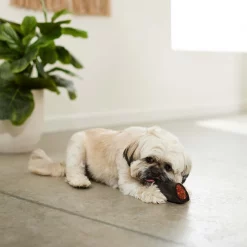 Bones & Chews Cheese & Bacon Flavor Stuffed Water Buffalo Horn Dog Treats -Bones & Chews || Coastal Pet Products Sales 297613 PT4. SY630 V1637097103