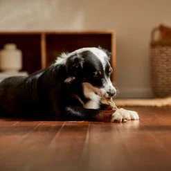 Bones & Chews 8" Braided Braided Cod Skin Dog Treats -Bones & Chews || Coastal Pet Products Sales 297616 PT4. SY630 V1637096498