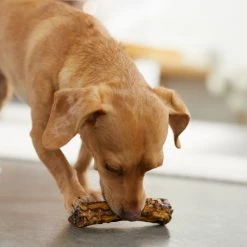 Bones & Chews Made in USA Elk Antler Split with Liver Flavor Dog Chew 11 Bones & Chews Made in USA Elk Antler Split with Liver Flavor Dog Chew -Bones & Chews || Coastal Pet Products Sales 316420 PT3. SY630 V1635734900