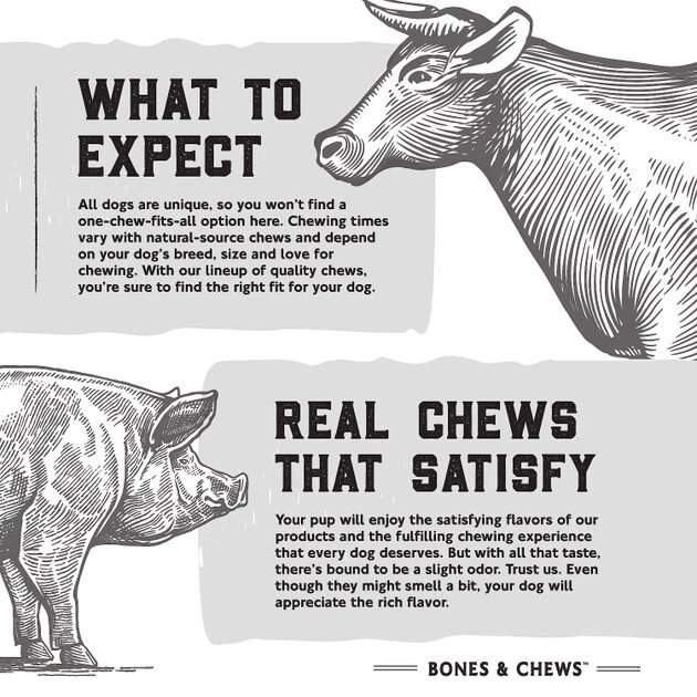 Bones & Chews Made in USA Elk Antler Split with Liver Flavor Dog Chew 8 Bones & Chews Made in USA Elk Antler Split with Liver Flavor Dog Chew - Image 8