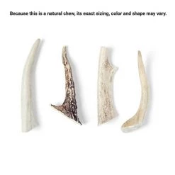 Bones & Chews Made in USA Deer Antler Dog Chew -Bones & Chews || Coastal Pet Products Sales 321929 PT2. SY630 V1648075029