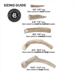 Bones & Chews Made in USA Deer Antler Dog Chew -Bones & Chews || Coastal Pet Products Sales 321929 PT3. SY630 V1648747590