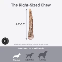 Bones & Chews Made in USA Deer Antler Dog Chew -Bones & Chews || Coastal Pet Products Sales 321929 PT4. SY630 V1648747284
