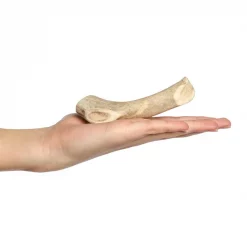 Bones & Chews || Coastal Pet Products Sales -Bones & Chews || Coastal Pet Products Sales 321934 PT1. SY630 V1648072996