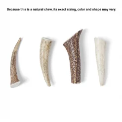 Bones & Chews Made in USA Elk Antler Dog Chew -Bones & Chews || Coastal Pet Products Sales 321934 PT2. SY630 V1648075111
