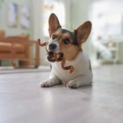 Bones & Chews 7-8” Beef Tripe Twist Springs Dog Treats -Bones & Chews || Coastal Pet Products Sales 370712 PT4. SY630 V1658461662