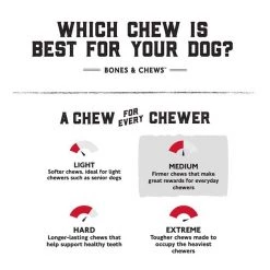 Bones & Chews Beef Trachea 3" Dog Treat -Bones & Chews || Coastal Pet Products Sales 370714 PT5. SY630 V1650639683