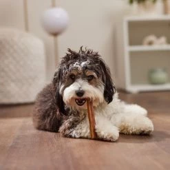 Bones & Chews Small Dog Treats & Chews Variety Pack, 16 count 17 Bones & Chews Small Dog Treats & Chews Variety Pack, 16 count -Bones & Chews || Coastal Pet Products Sales 370720 PT8. SY630 V1653513444