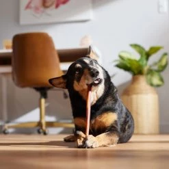 Bones & Chews Large Dog Treats & Chews Variety Pack, 8 count -Bones & Chews || Coastal Pet Products Sales 370722 PT8. SY630 V1657657490