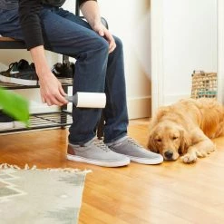 Safari||Frisco Safari Self-Cleaning Slicker Cat Brush + Frisco Cat & Dog Lint Roller -Bones & Chews || Coastal Pet Products Sales 575062 PT7. SY630 V1657660393