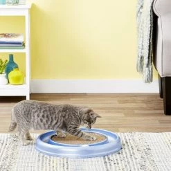 Bergan Scratcher Replacement Pads, 2 count -Bones & Chews || Coastal Pet Products Sales 64228 PT3. SY630 V1545170886