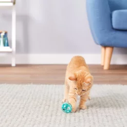 Bergan Replacement Twinkle Ball Cat Toy, Color Varies -Bones & Chews || Coastal Pet Products Sales 64234 PT2. SY630 V1545170893