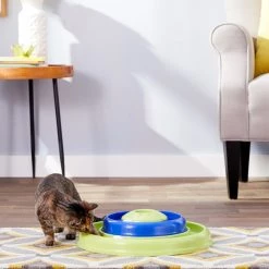 Bones & Chews || Coastal Pet Products Sales -Bones & Chews || Coastal Pet Products Sales 64240 PT1. SY630 V1546279468