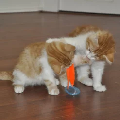 Bergan Whirly Pop Cat Toy with Catnip 10 Bergan Whirly Pop Cat Toy with Catnip -Bones & Chews || Coastal Pet Products Sales 79187 PT3. SY630 V1533671638