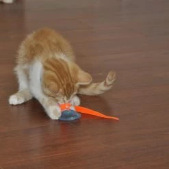 Bergan Whirly Pop Cat Toy with Catnip 12 Bergan Whirly Pop Cat Toy with Catnip -Bones & Chews || Coastal Pet Products Sales 79187 PT5. SY630 V1533671686