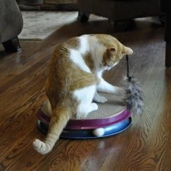 Bergan Turbo Scratcher Cat Toy Teaser Extension 8 Bergan Turbo Scratcher Cat Toy Teaser Extension -Bones & Chews || Coastal Pet Products Sales 79191 PT2. SY630 V1533671706