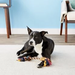 Bones & Chews || Coastal Pet Products Sales -Bones & Chews || Coastal Pet Products Sales 86883 PT1. SY630 V1544653326