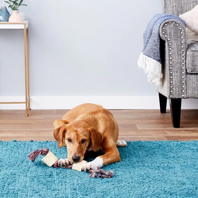 Bones & Chews Made in USA Cotton Rope with Bones Dog Toy, Color Varies 4 Bones & Chews Made in USA Cotton Rope with Bones Dog Toy, Color Varies - Image 4